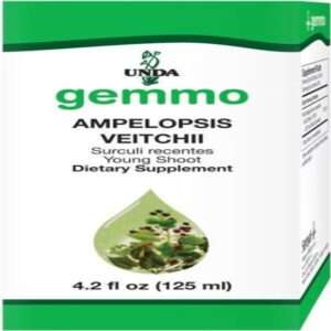 Ampelopsis Veitchii