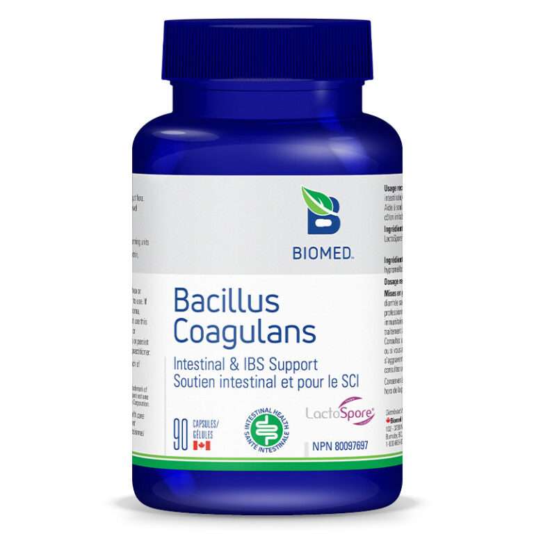 Bacillus Coagulans