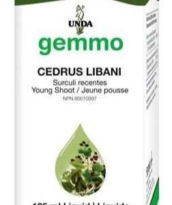 Cedrus libani 125 ml