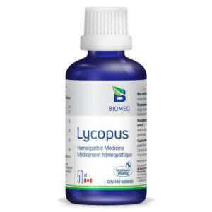 Lycopus