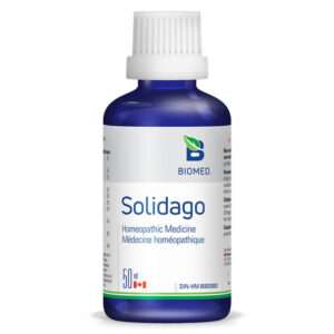 Solidago